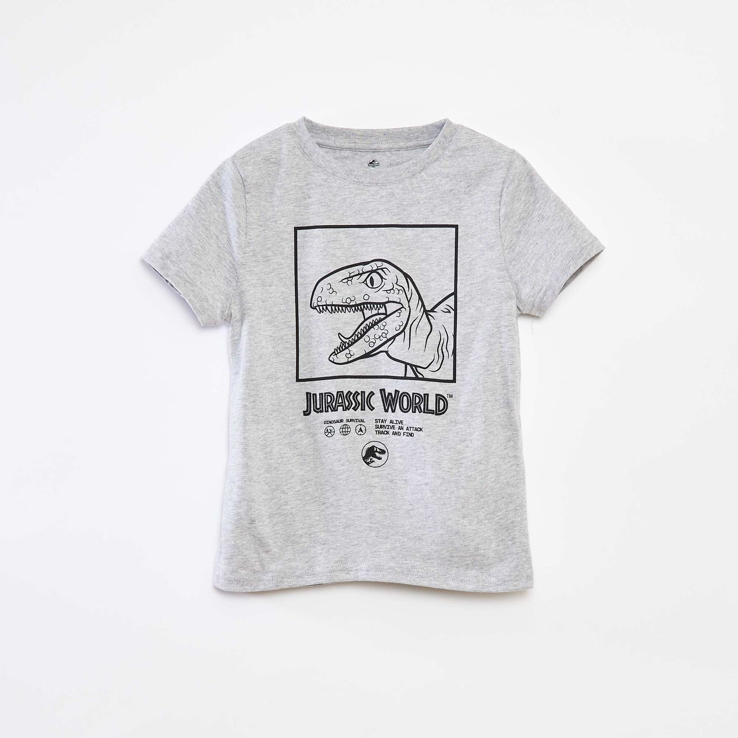T-shirt à manches courtes 'Jurassic World' GRIS