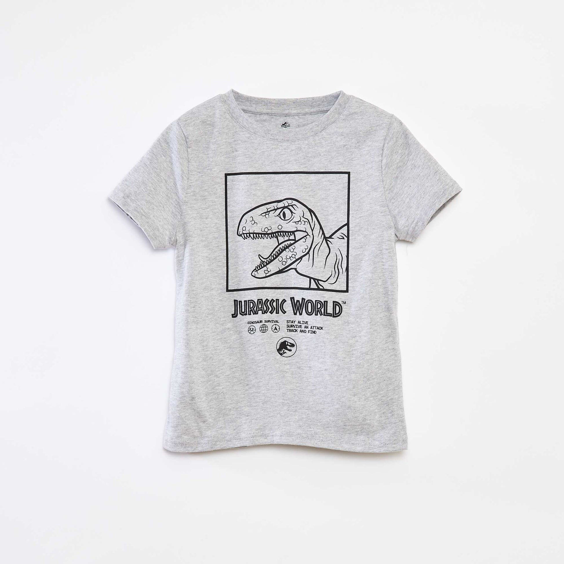 T-shirt à manches courtes 'Jurassic World' GRIS