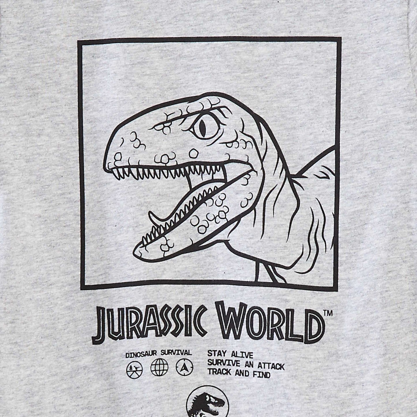 T-shirt à manches courtes 'Jurassic World' GRIS