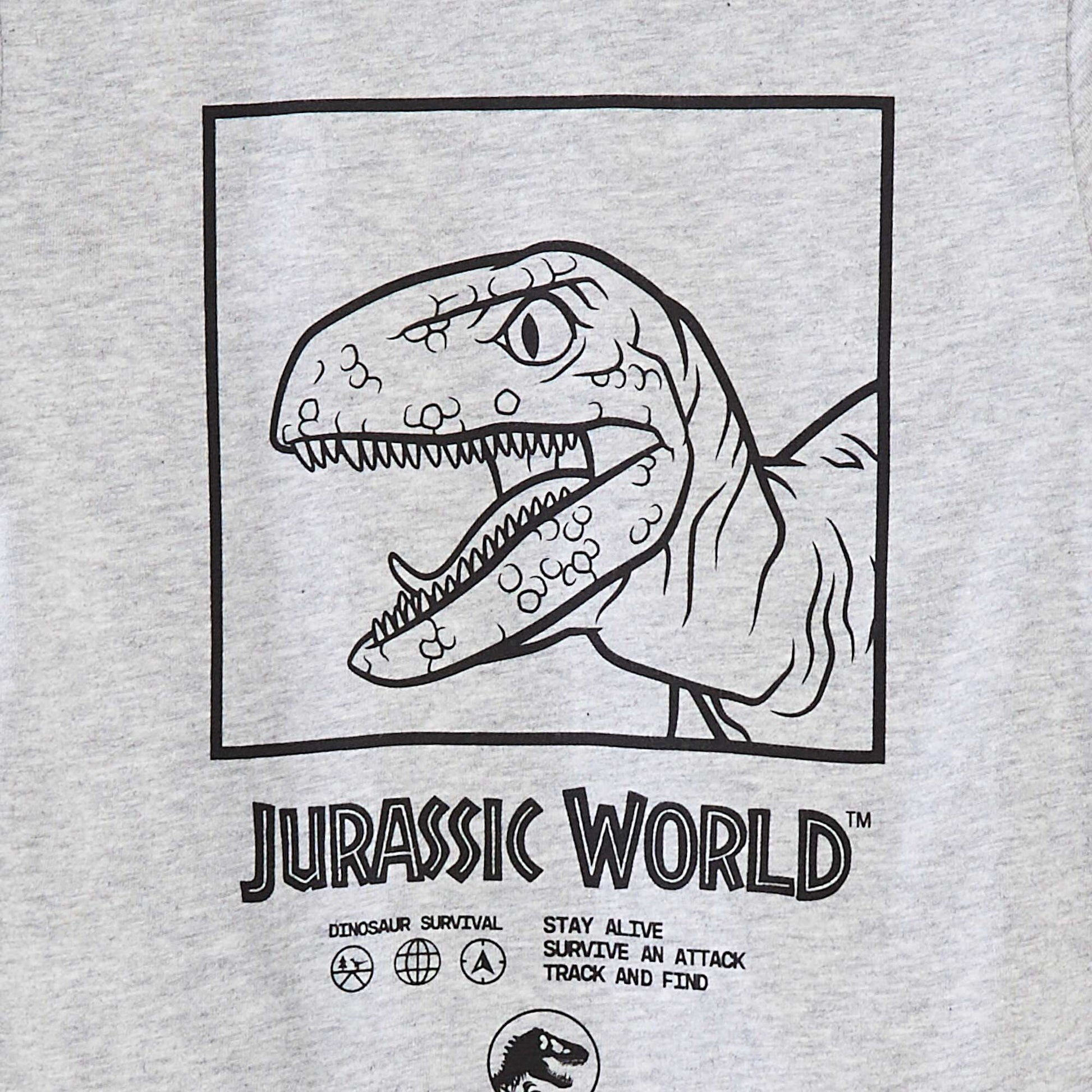 T-shirt à manches courtes 'Jurassic World' GRIS