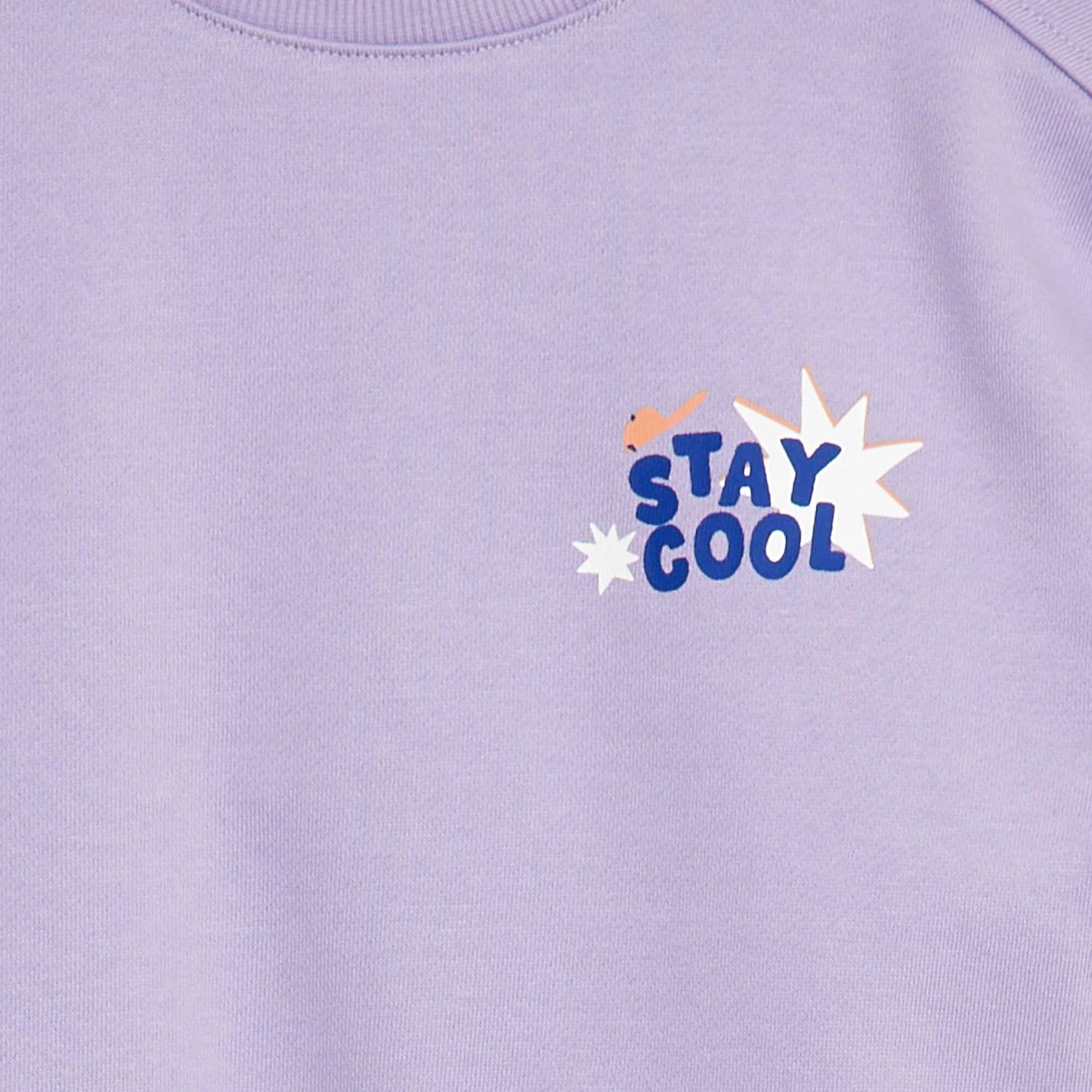 Sweat imprimé en molleton léger - Grafik Edition VIOLET