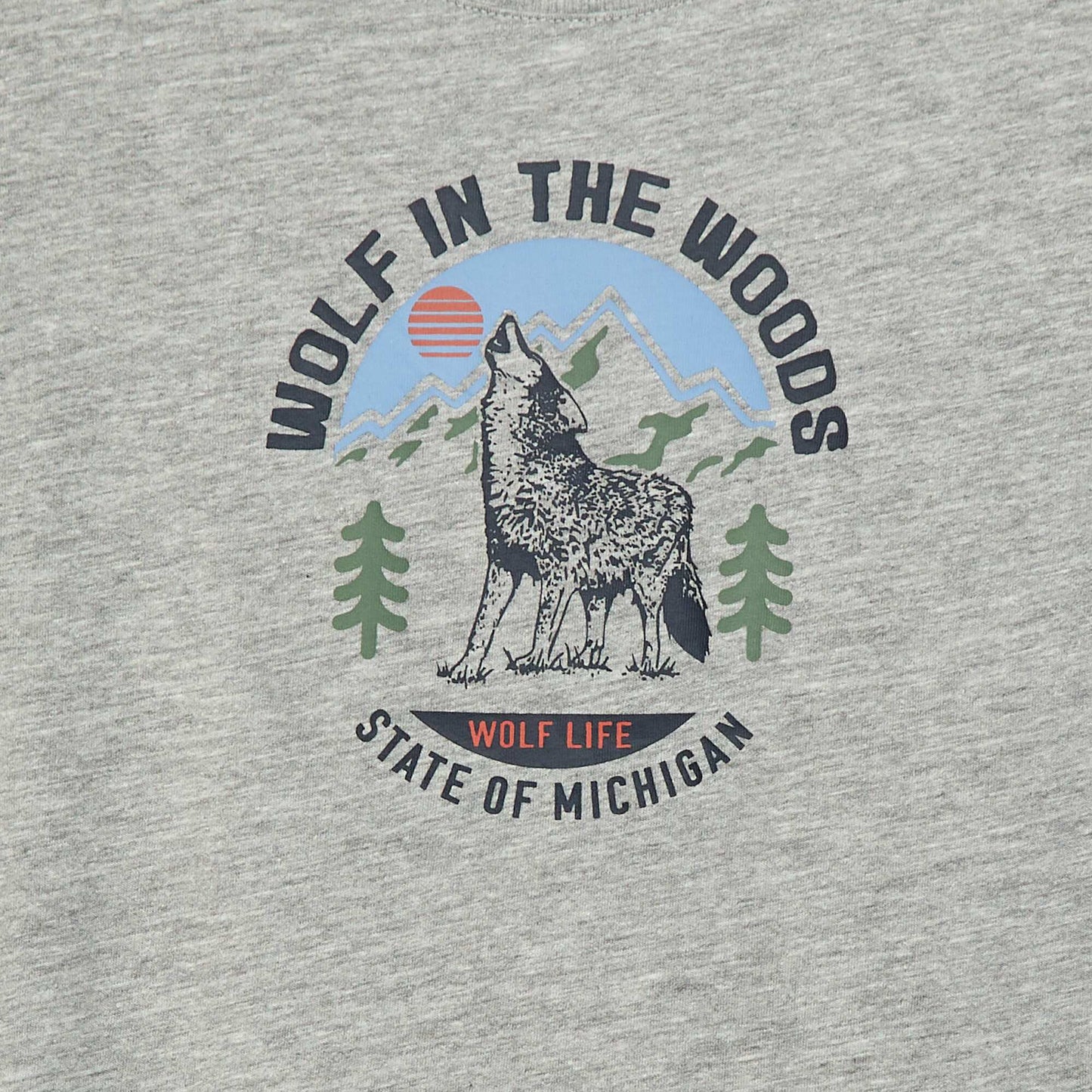 T-shirt imprimé à manches longues GRIS