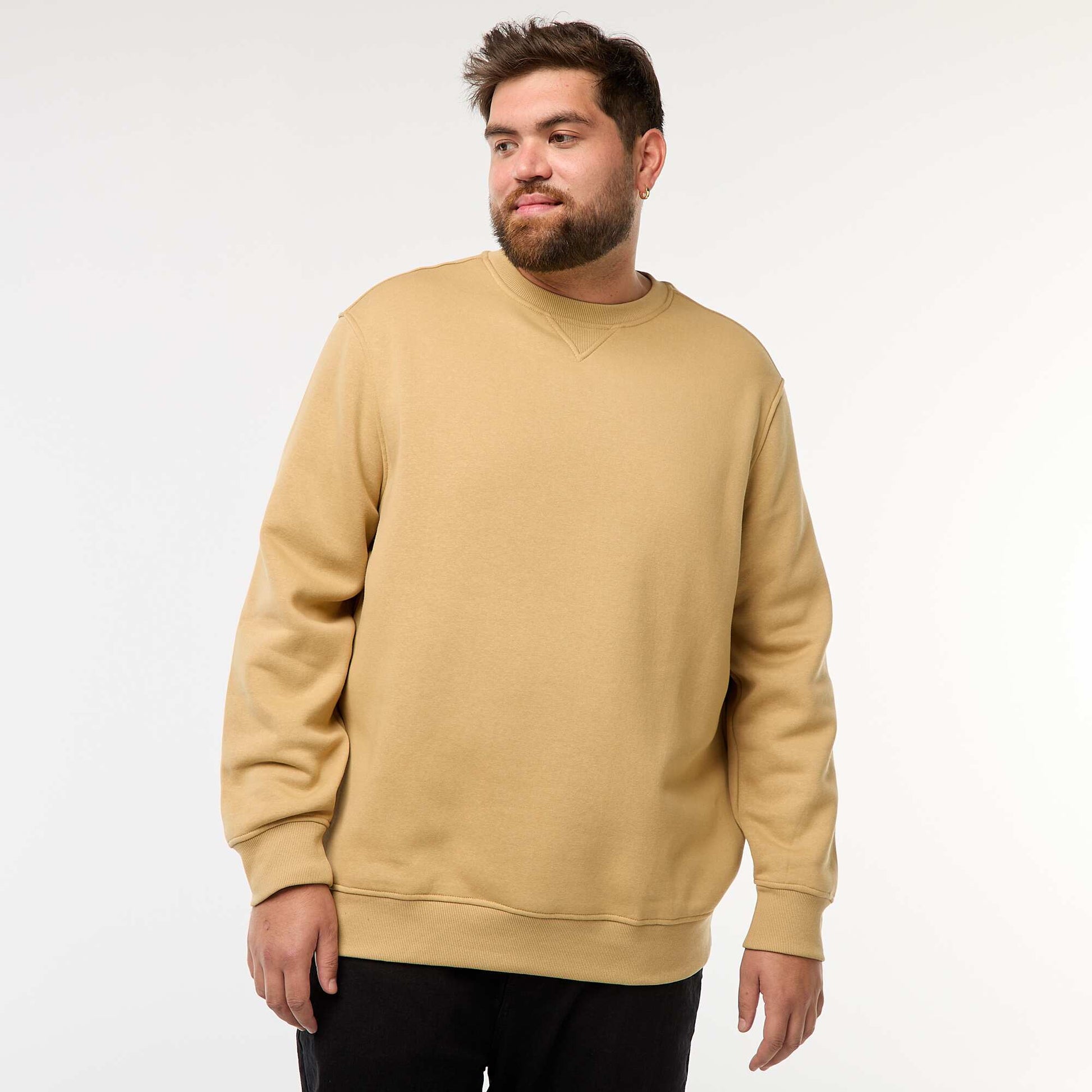 Sweat à col rond uni BEIGE