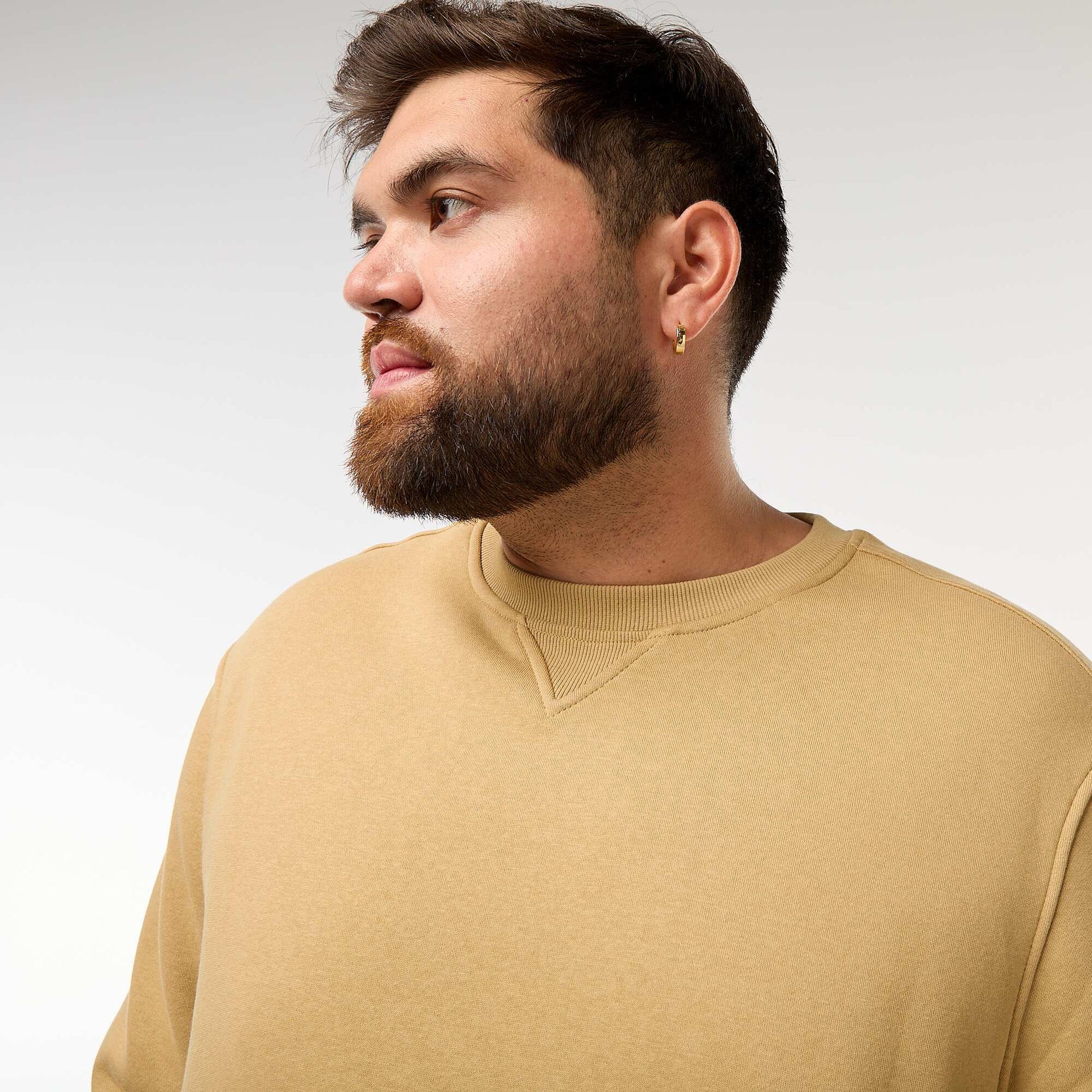 Sweat à col rond uni BEIGE