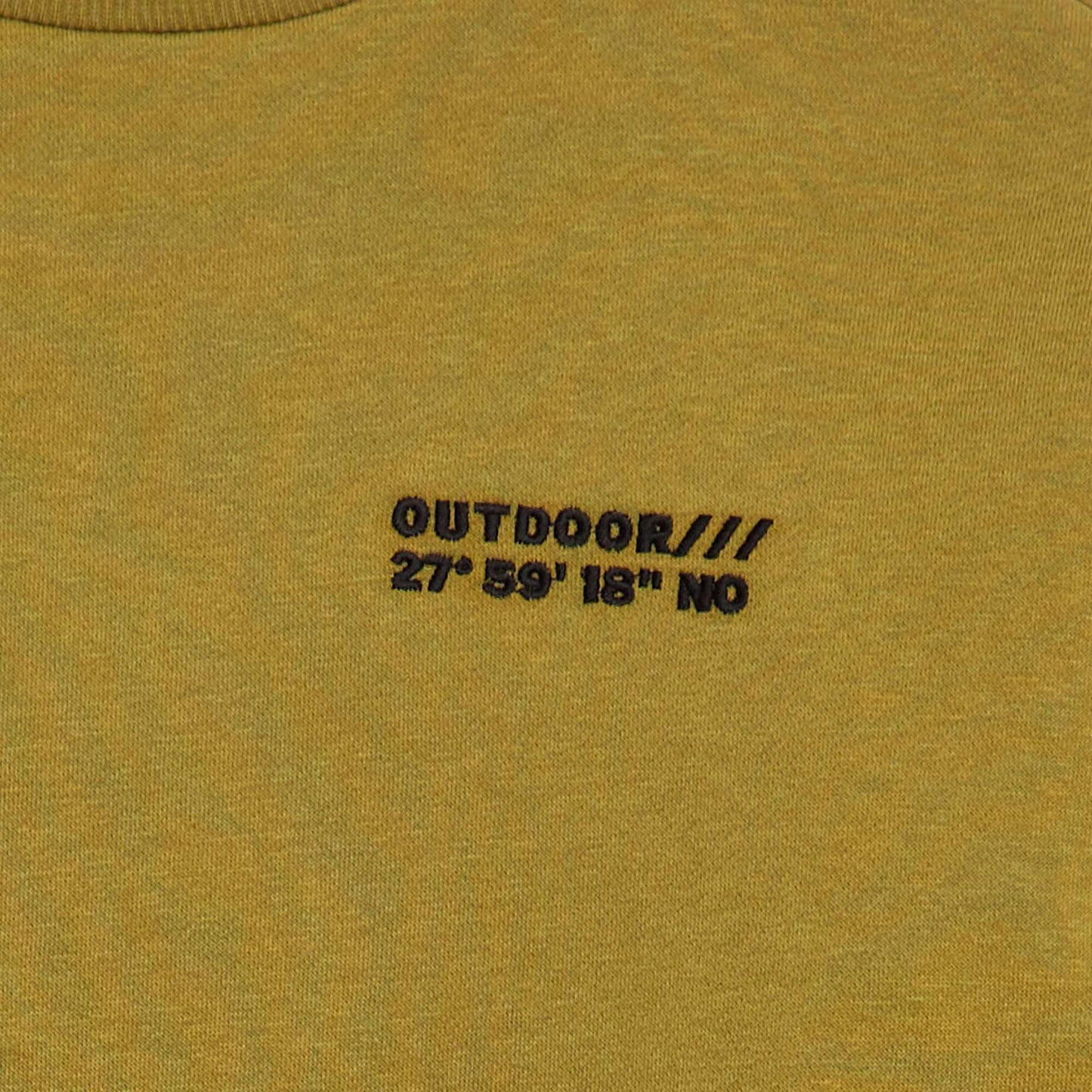 Sweat en coton avec motif au dos VERT