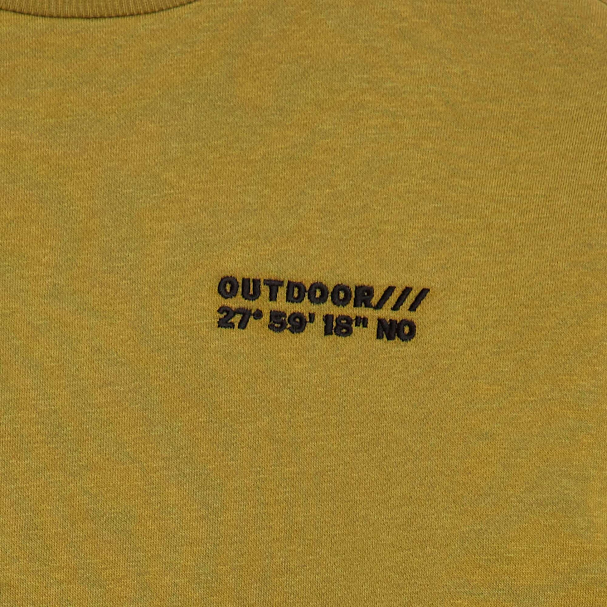 Sweat en coton avec motif au dos VERT