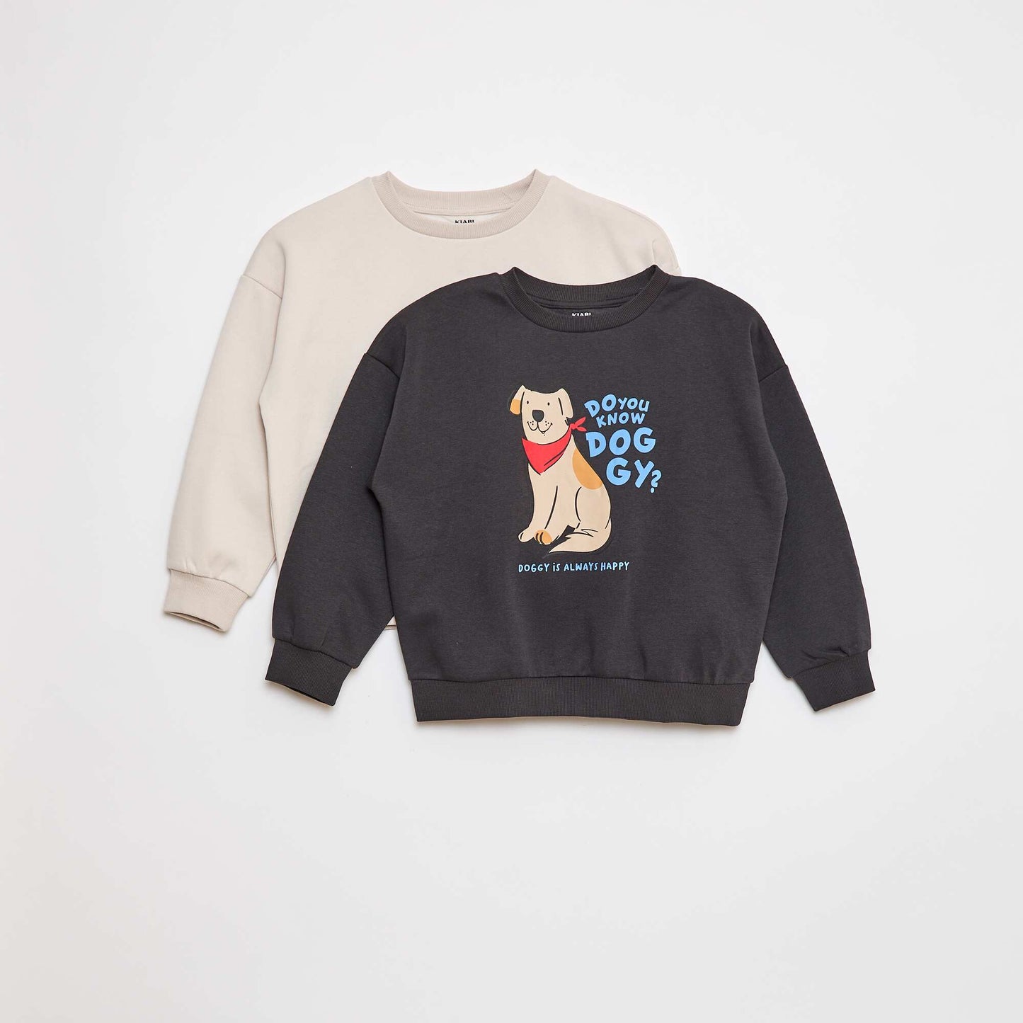 Lot de 2 sweats à col rond en molleton gratté GRIS